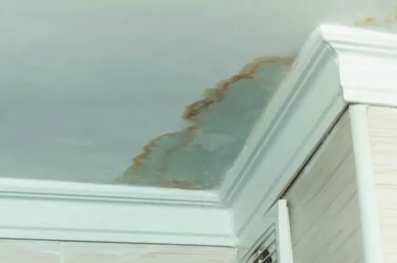 Water-damaged ceiling with staining and a compromised drywall paper face